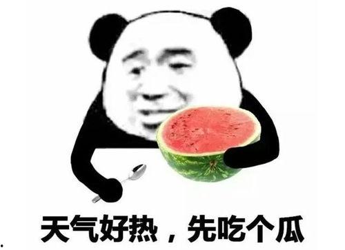 吃瓜表情说明什么