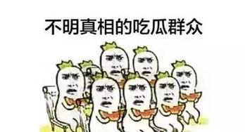 娱乐领域吃瓜群众,吃瓜群众揭秘幕后真相